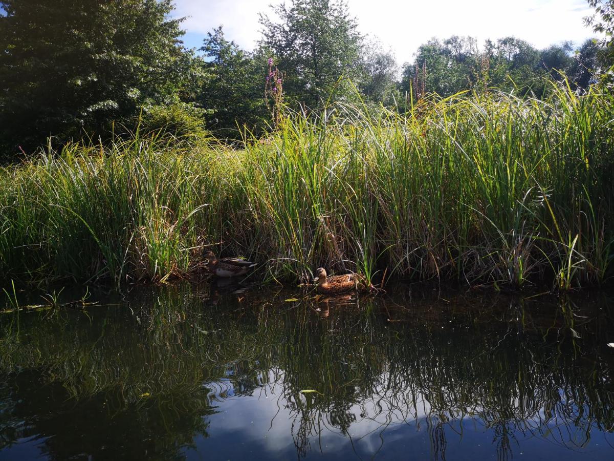 Spreewald Ferienwohnung Wollgast Lübben Екстериор снимка