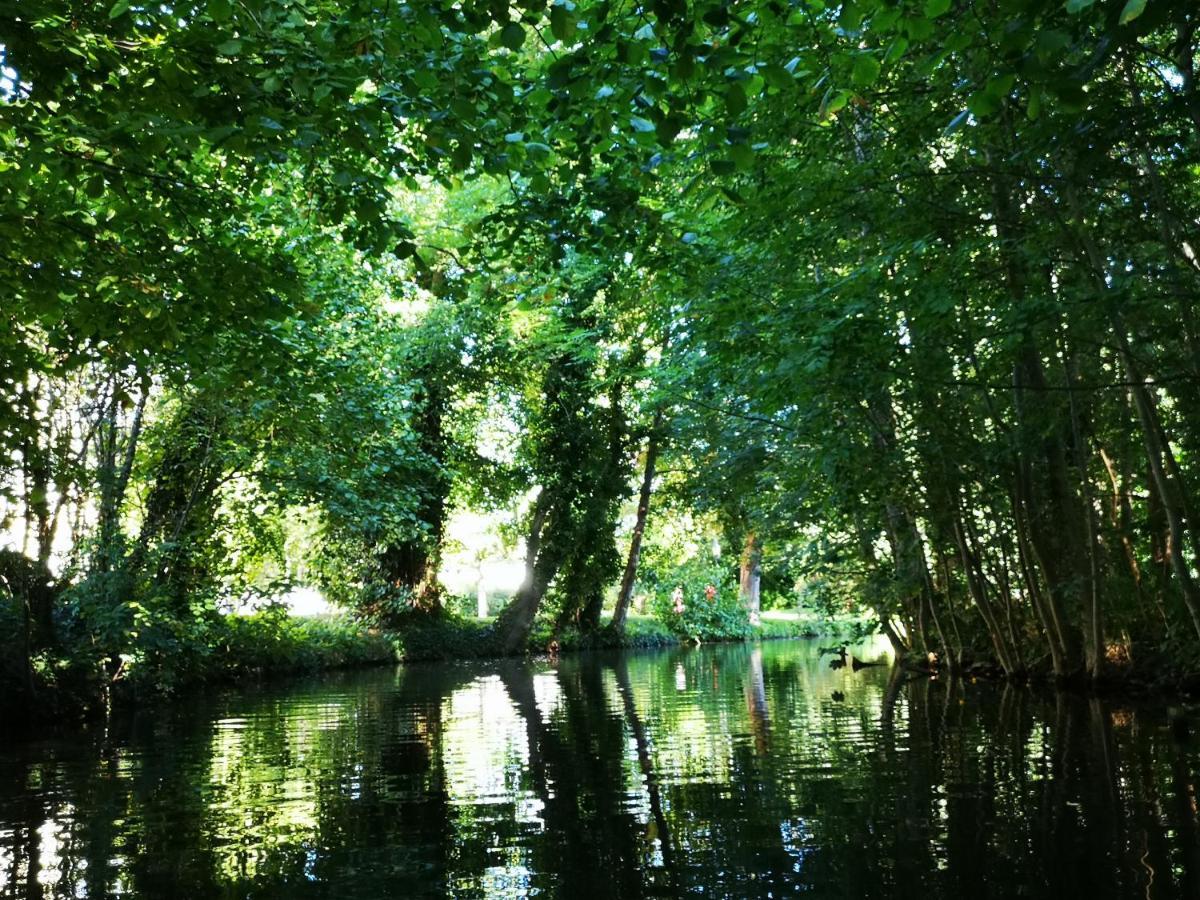 Spreewald Ferienwohnung Wollgast Lübben Екстериор снимка